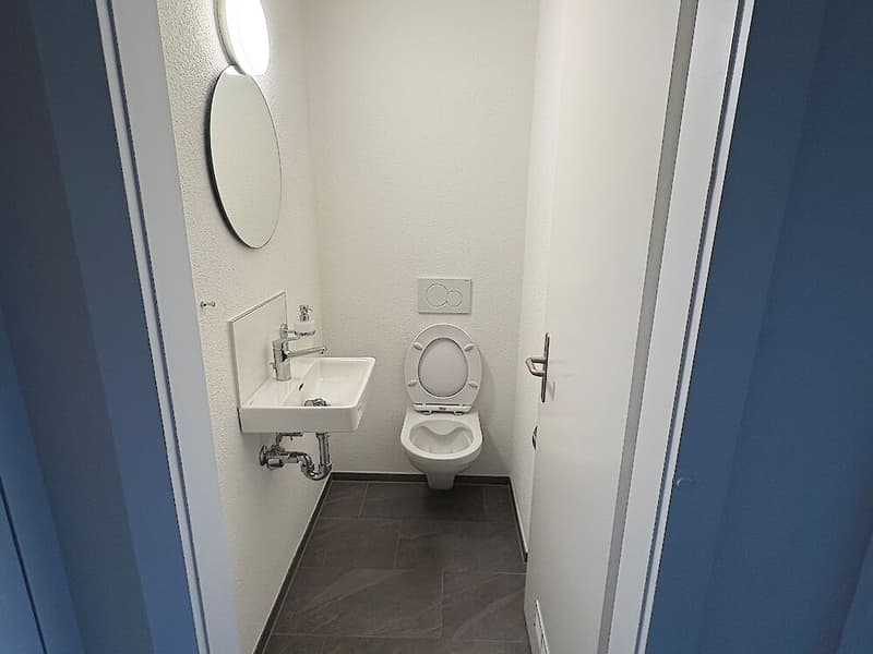 4 Zimmerwohnung in Alterswil (12)