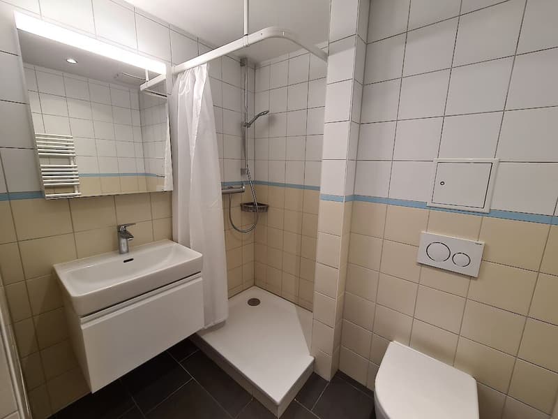 Charmante 2.5 Duplex-Wohnung im Alt-Quartier (8)