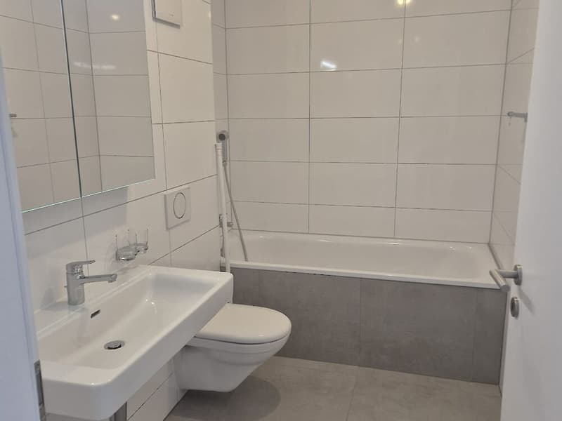 Moderne 4.5-Zimmerwohnung in Giffers zu vermieten (6)