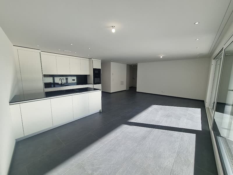 Neubau in Schmitten (4)
