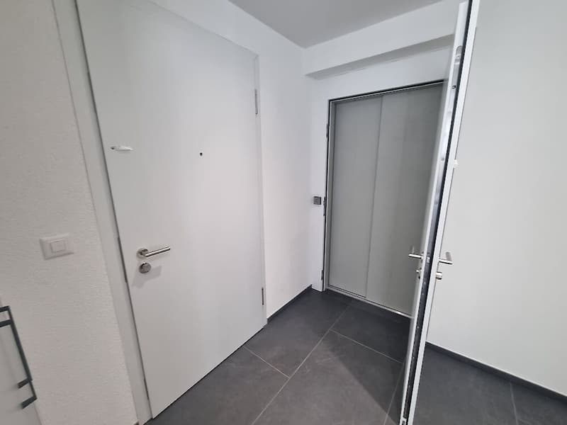 Neubau in Schmitten (7)