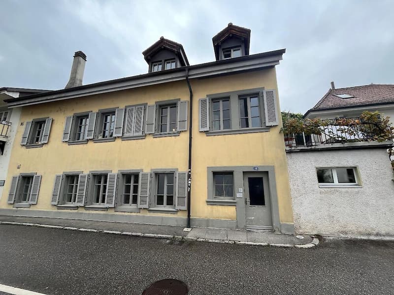 Renovierte Wohnung im Herzen der Freiburger Unterstadt (1)