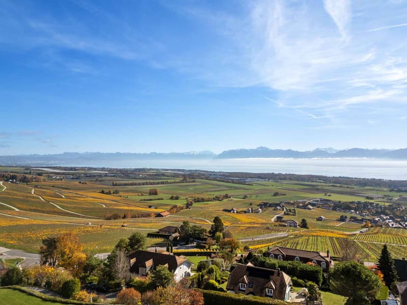 Villa elegante con panorama sul Lago di Ginevra e le Alpi (2)