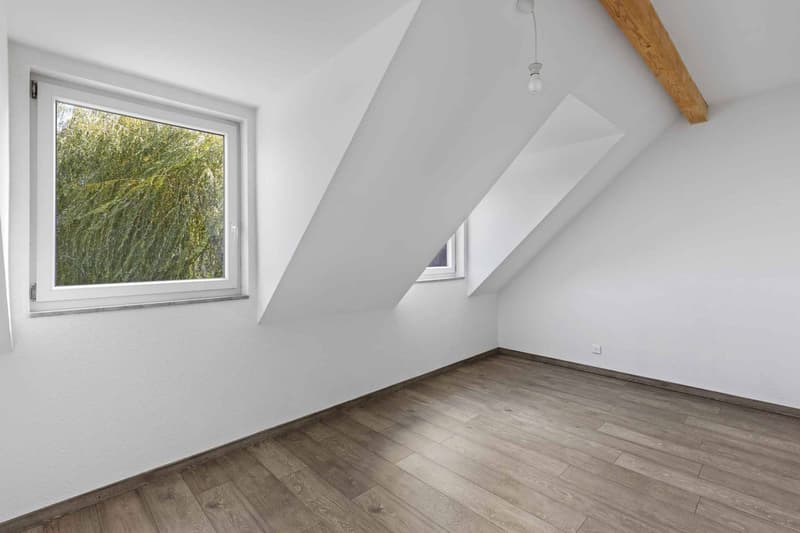 Triplex écologique et raffiné au cur de Perroy (8)