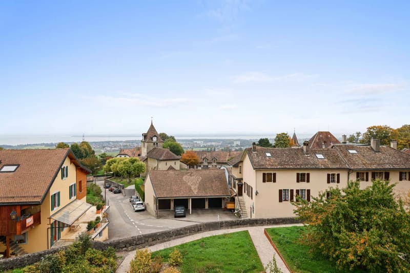 Exceptional penthouse with breathtaking views of Lake Geneva (2)