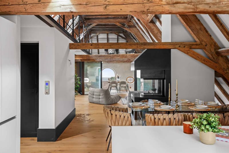Exceptional penthouse with breathtaking views of Lake Geneva (11)