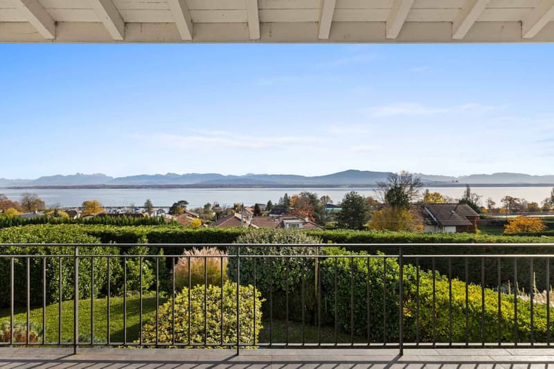 Detached villa with panoramic views of the lake and the Alps (2)