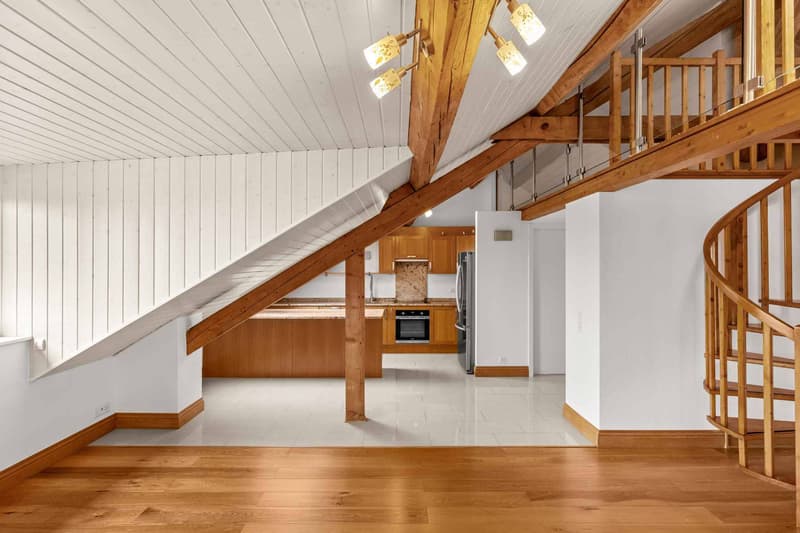 Character apartment under the roofs of Meyrin center (9)