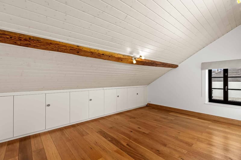 Character apartment under the roofs of Meyrin center (13)