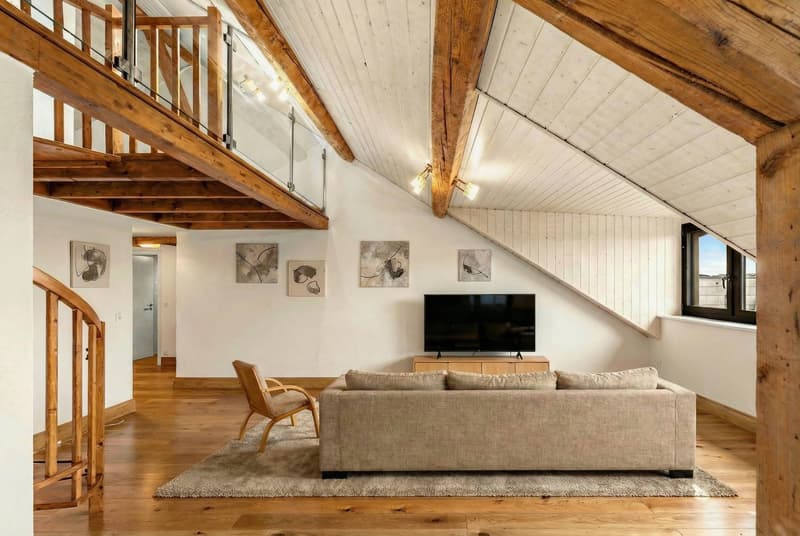 Character apartment under the roofs of Meyrin center (3)