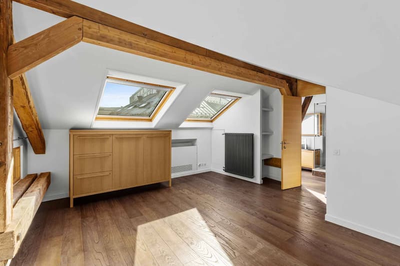 An exceptional attic in the center of Geneva! (3)