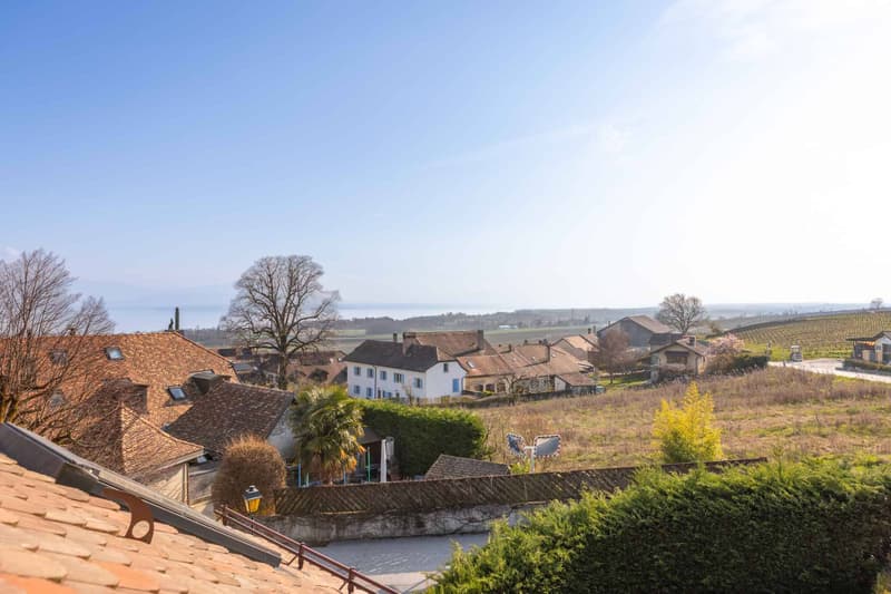 Casa incantevole ristrutturata nel cuore delle vigne (2)