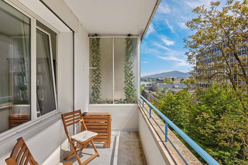 Renovated apartment in a high-standard residence (5)