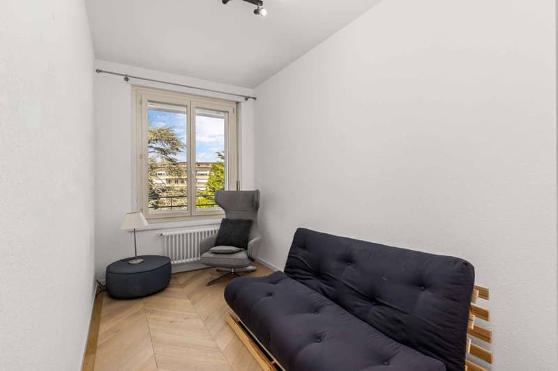 Renovated apartment in a high-standard residence (12)