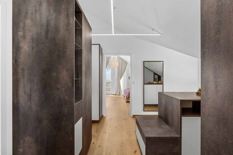 Modern villa with pool and view of the lake, the Alps and the Jura (11)