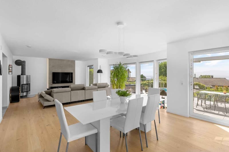 Modern Villa with Pool and View of the Lake, the Alps and the Jura (12)