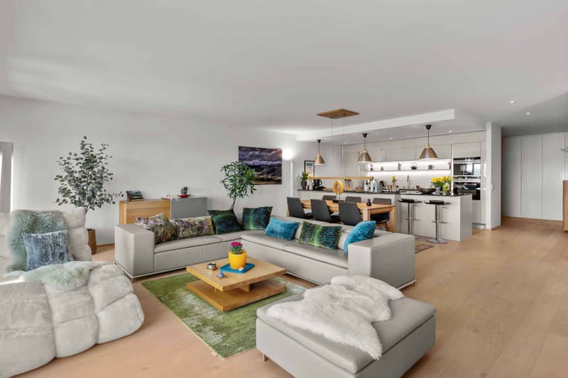 Appartement d'exception avec vue panoramique (5)