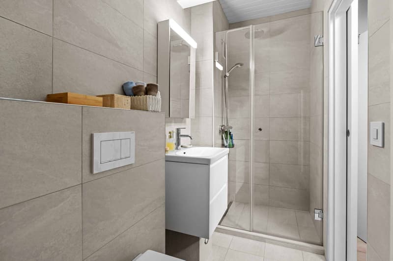Duplex rénové face aux champs à Chancy (8)