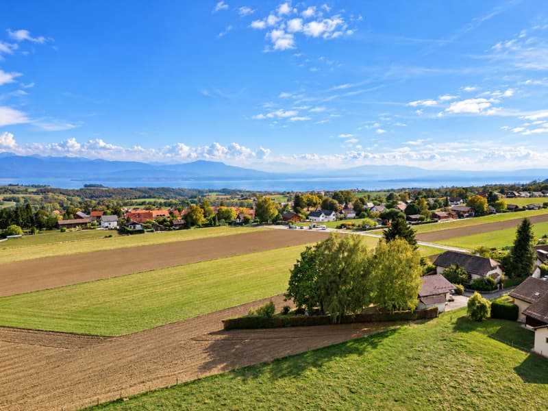 Villa à réinventer face au lac et aux montagnes (13)