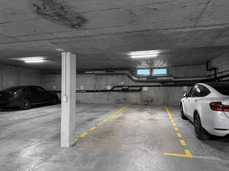 Doppeleinstellplatz zu vermieten (1)