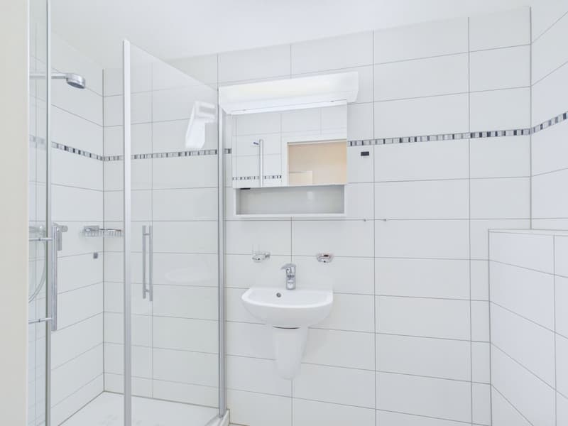 Bright and spacious 4.5-room apartment with balcony in the heart of Visp (7)