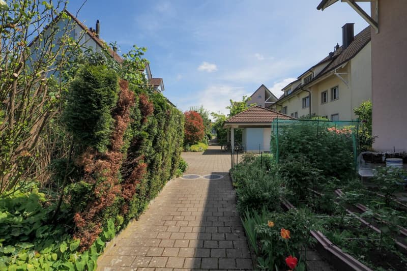Appartement spacieux 3.5 (4.5) pièces au milieu du verdoyant (16)