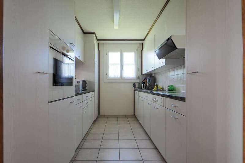Appartement spacieux 3.5 (4.5) pièces au milieu du verdoyant (6)