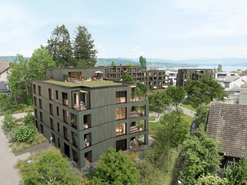 Maison de jardin à Wädenswil ! vögeliwohl ! (3)