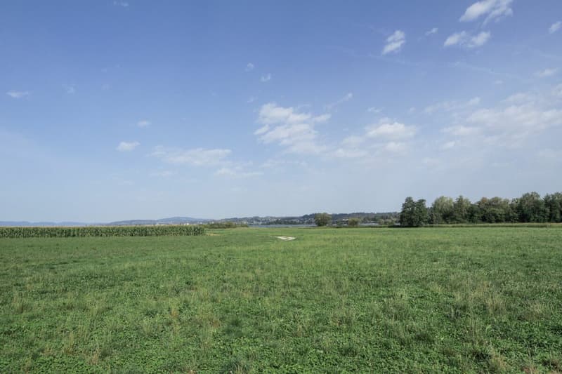 Wohnen mitten in der Natur! (15)