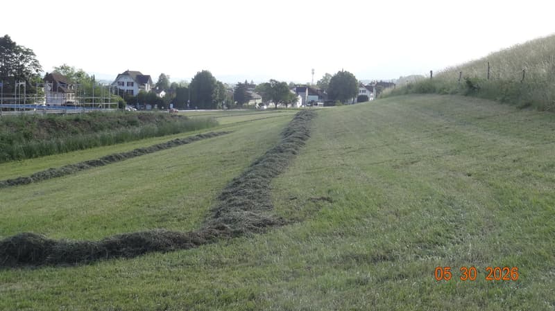 Commercial land with potential in top location in Langendorf (7)