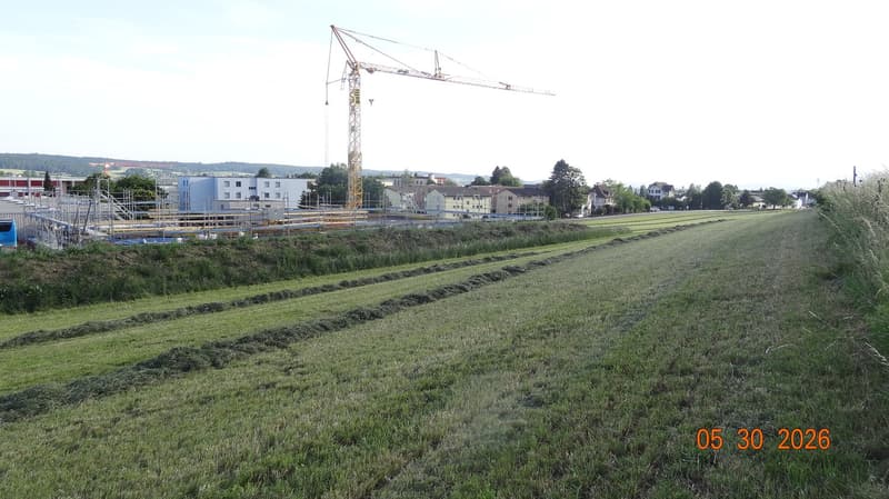 Commercial land with potential in top location in Langendorf (5)