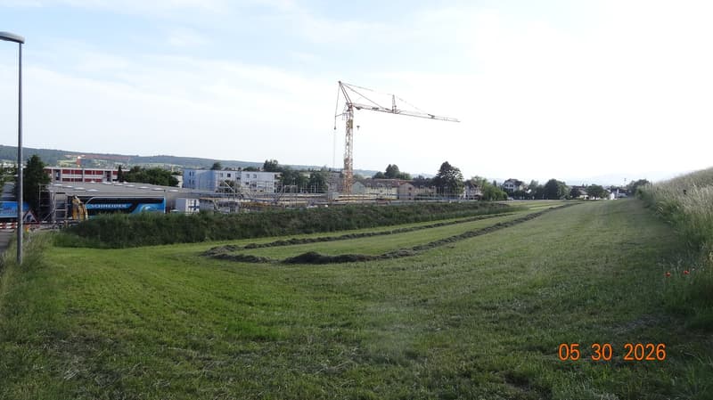 Commercial land with potential in top location in Langendorf (4)