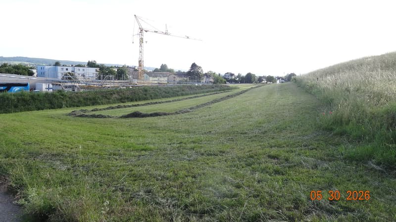 Commercial land with potential in top location in Langendorf (6)