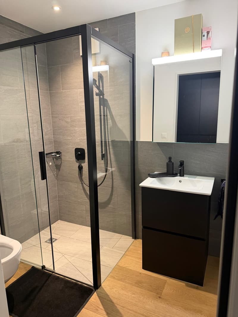 Appartement 4.5 pièces à Sunnepark avec espace de séjour spacieux (75m2) (8)
