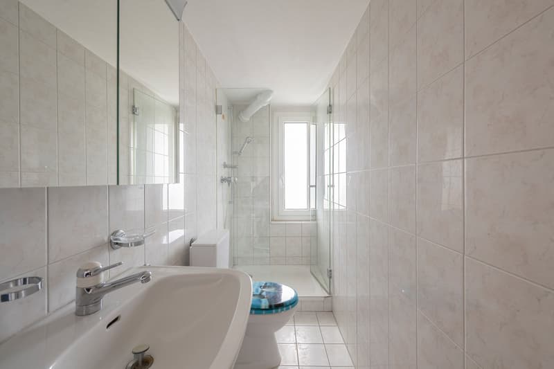 Charming 4-room apartment in a quiet 3-family house (6)
