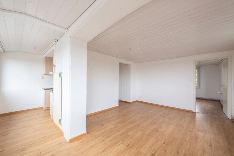 Charming 4-room apartment in a quiet 3-family house (3)