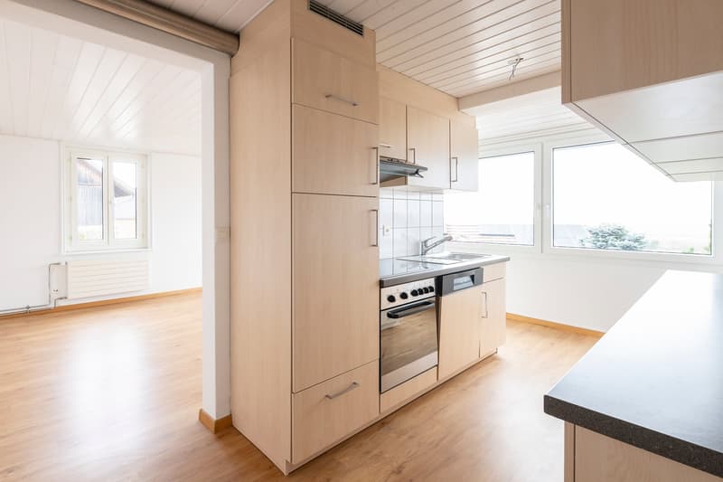 Charming 4-room apartment in a quiet 3-family house (5)