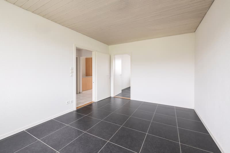 Sunny and cozy 2.5-room apartment in Arch for rent (4)