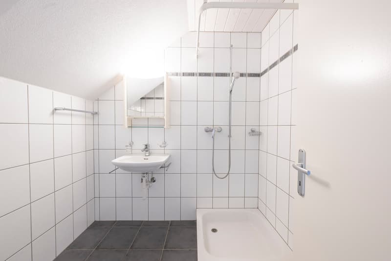 Sunny and cozy 2.5-room apartment in Arch for rent (5)