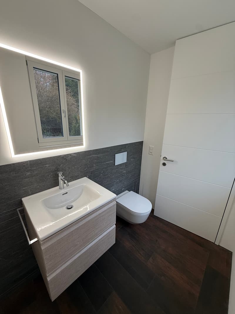 Exklusive 2.5-Zimmer-Loftwohnung mit Ausbaupotenzial zu 4.5 Zimmern – Modern, Hell & Luxuriös (5)