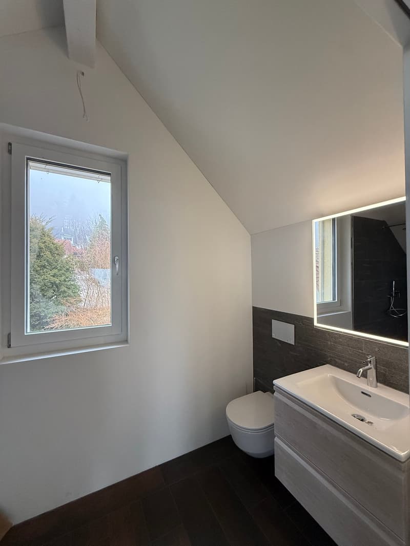 Exklusive 2.5-Zimmer-Loftwohnung mit Ausbaupotenzial zu 4.5 Zimmern – Modern, Hell & Luxuriös (10)