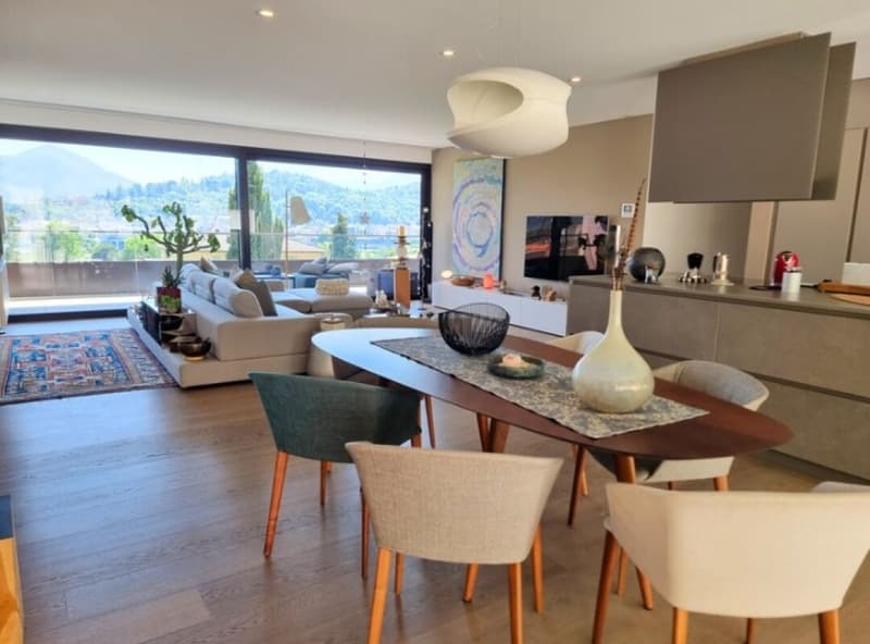 Attico di charme si 4.5 locali, terrazze panoramiche, comfort e stile (7)