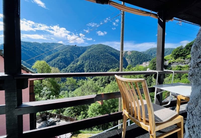 Renovierte 3 ½ Zimmer Wohnung, im historischer Kern, mit Bauland, mit Pergola (7)
