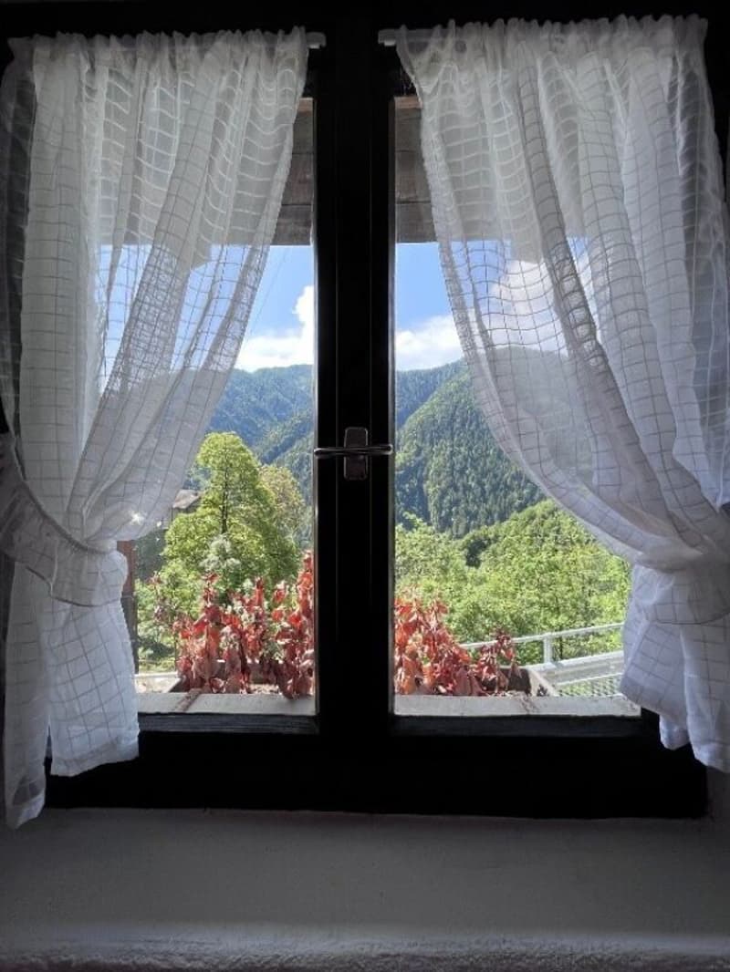 Renovierte 3 ½ Zimmer Wohnung, im historischer Kern, mit Bauland, mit Pergola (6)