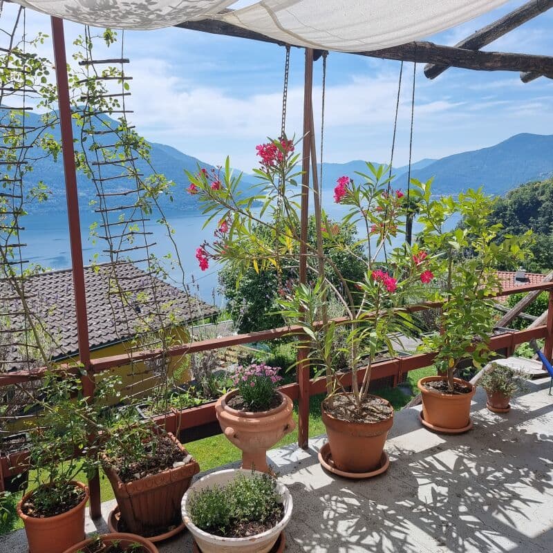 Deux - 4 ½ pièces maison, jardin, et vue magnifique sur le lac (5)