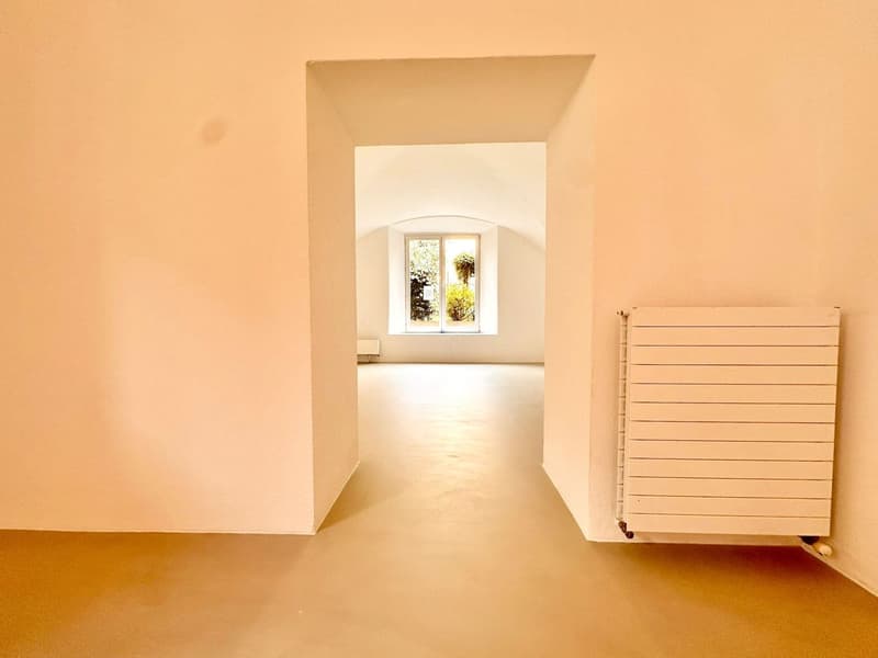 Charmant objet commercial au cœur de la vieille ville de Locarno (21)