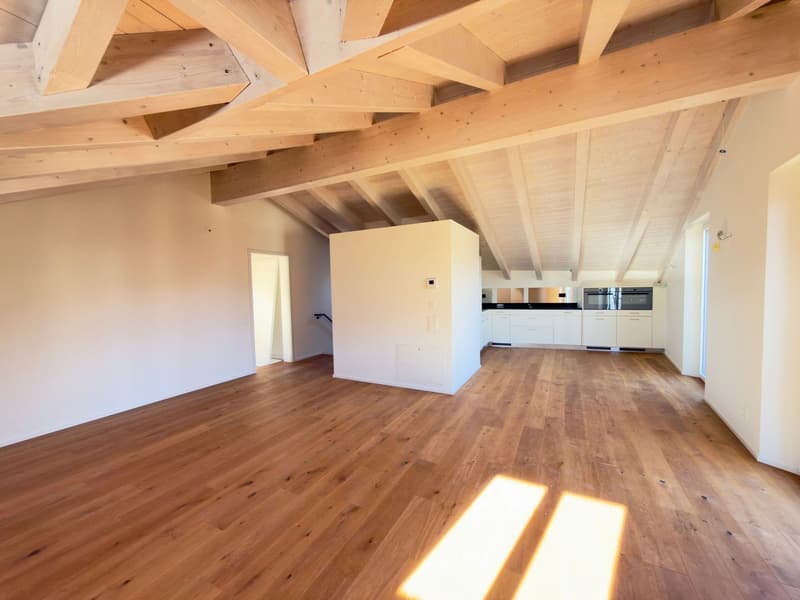 Residenza Gatti : Nouveau projet avec trois appartements de 3,5 pièces et un grenier de 2,5 pièces (2)