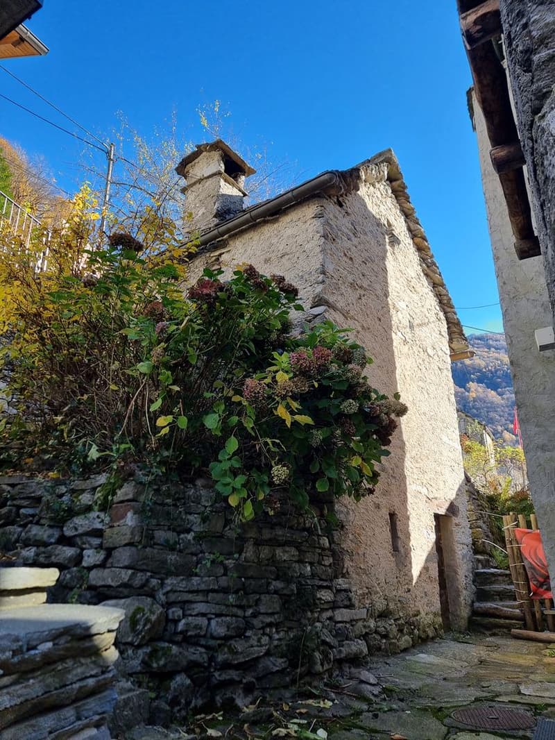 Rustic and authentic, above the Roman Bridge A small, charming house in the Verzasca Valley (8)