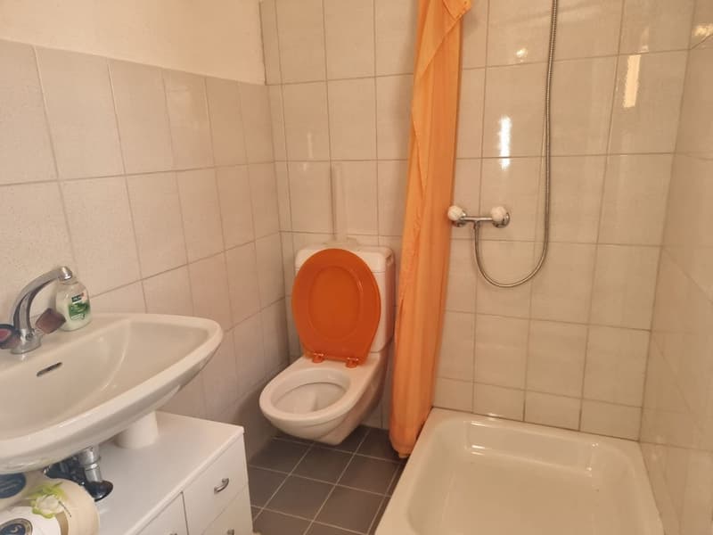 Rustico di 2.5 locali, nel nucleo, con giardino e terrazza (5)