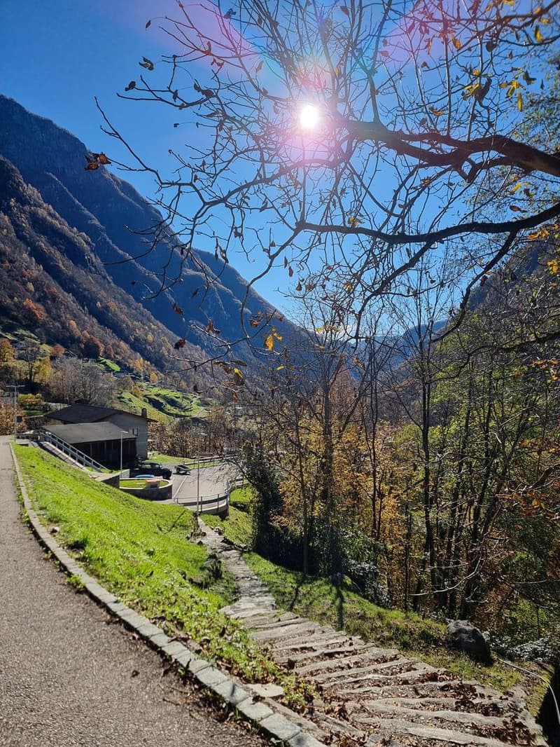 Rustic and authentic, above the Roman Bridge A small, charming house in the Verzasca Valley (9)